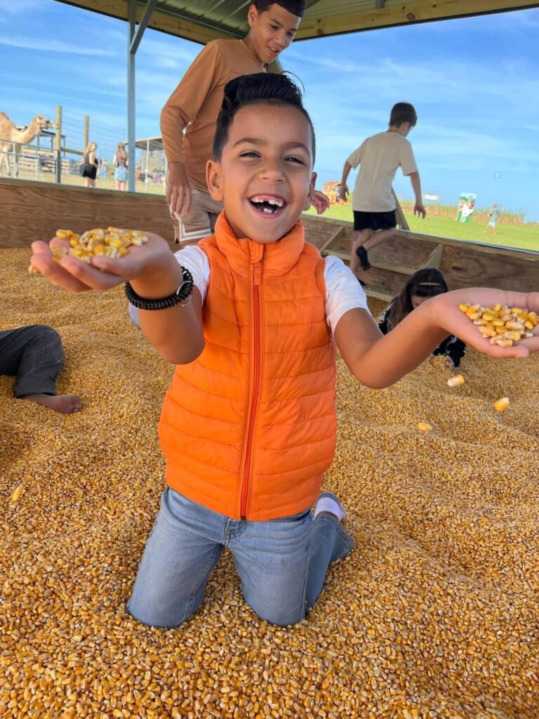 Fall Festival Activities - Dade City Farms