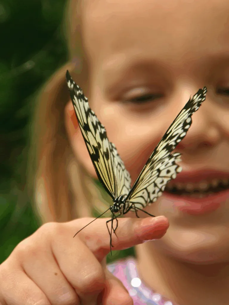 Spring Field Trips at Dade City Farms