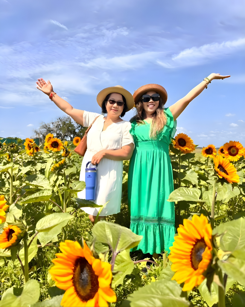 Sunflower Festival - Dade City Farms